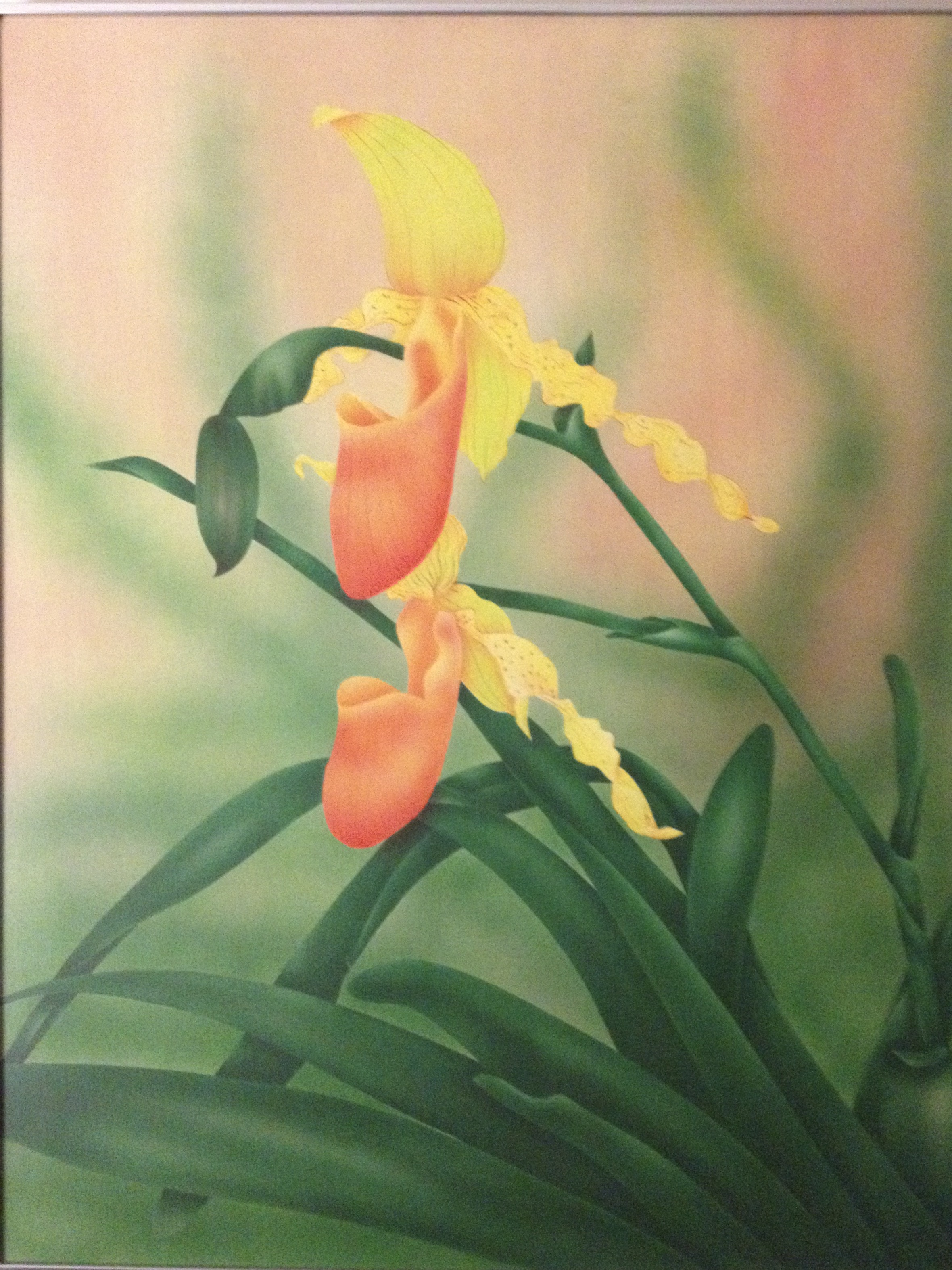 Orchid Botanical